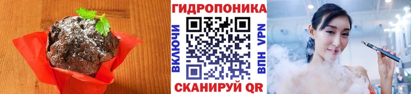 OMG ССЫЛКА  дарнет шоп  Судак  Еда ТГК конопля 