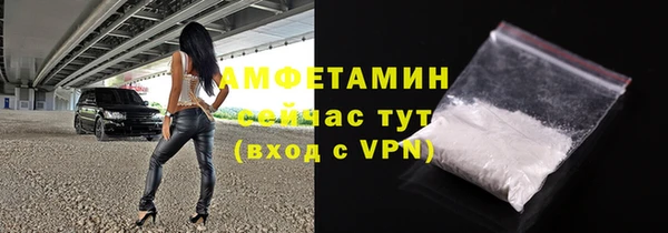прущие грибы Аркадак