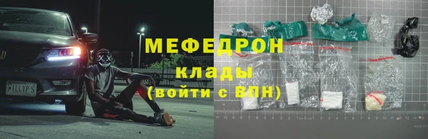прущие грибы Аркадак