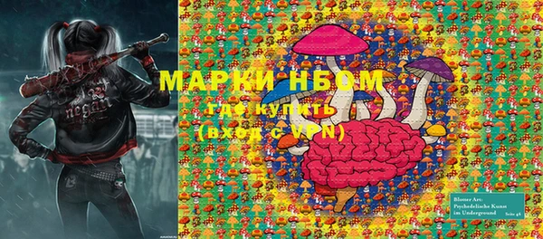 прущие грибы Аркадак
