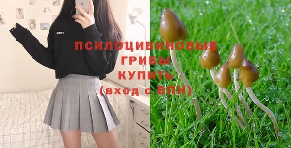 PSILOCYBIN Армянск