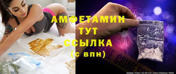 прущие грибы Аркадак