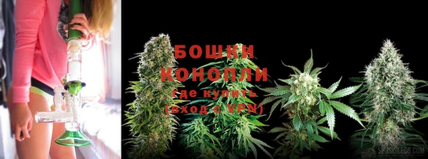 PSILOCYBIN Армянск