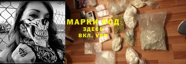 PSILOCYBIN Армянск