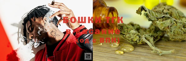 PSILOCYBIN Армянск
