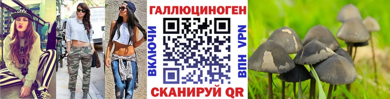 ОМГ ОМГ как зайти  Судак  Галлюциногенные грибы прущие грибы 