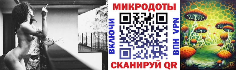 Псилоцибиновые грибы Psilocybe Судак