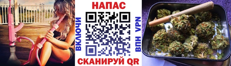 mega рабочий сайт  купить  цена  Судак  Бошки марихуана план 